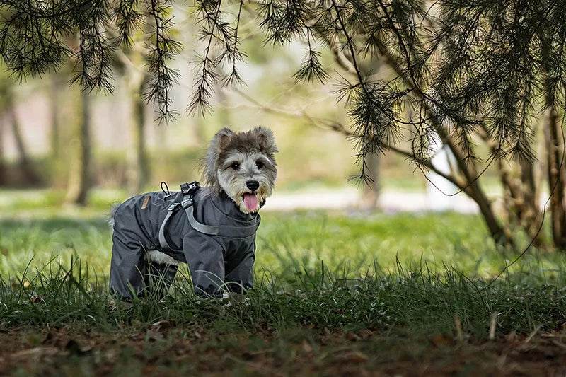 Adjustable Waterproof Dog Raincoat - SnaggIt