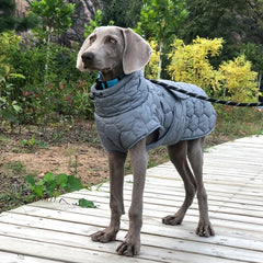 Quilted Winter Dog Jacket for Large Dogs – Windproof Reflective Water-Repellent Adjustable Coat