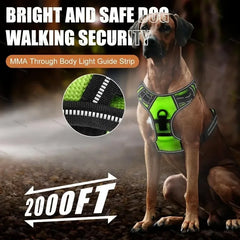 LED Luminous Dog Harness by Snagg A Harness