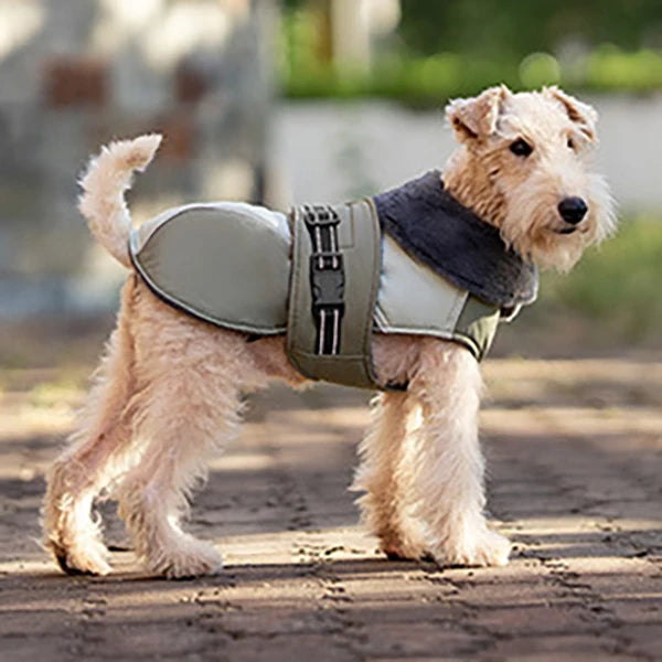 Fur-Collar Dog Vest Jacket – Thick Padded Reflective Winter Coat for Small & Medium Dogs