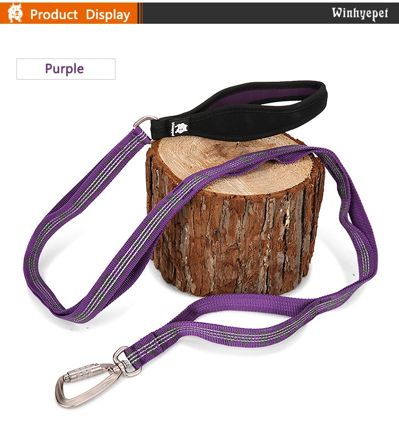 Heavy-Duty Reflective Dog Leash with Carabiner by Snagg A Leash