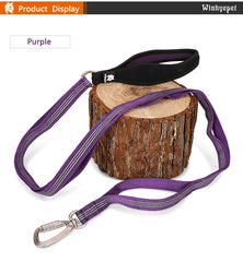 Heavy-Duty Reflective Dog Leash with Carabiner by Snagg A Leash