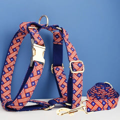 Heavy Duty Dog Harness, Collar & Leash Set by Snagg A Harness