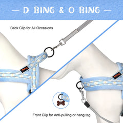 Floral Dog Harness – No Pull, Reflective & Warm by Snagg A Harness