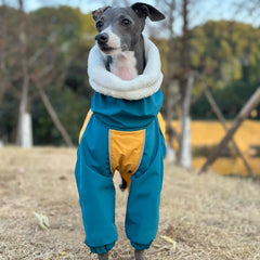 Waterproof 4 Leg Fleece Winter Jacket for Italian Greyhound