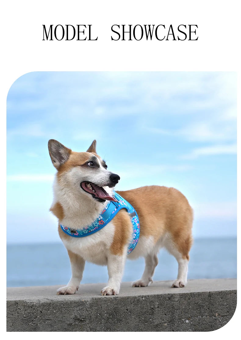 Floral Print Air-Mesh Harness for Dogs & Cats by Snagg A Harness