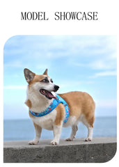 Floral Print Air-Mesh Harness for Dogs & Cats by Snagg A Harness