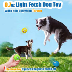 6PCS Latex Squeaky Dog Balls - SnaggIt
