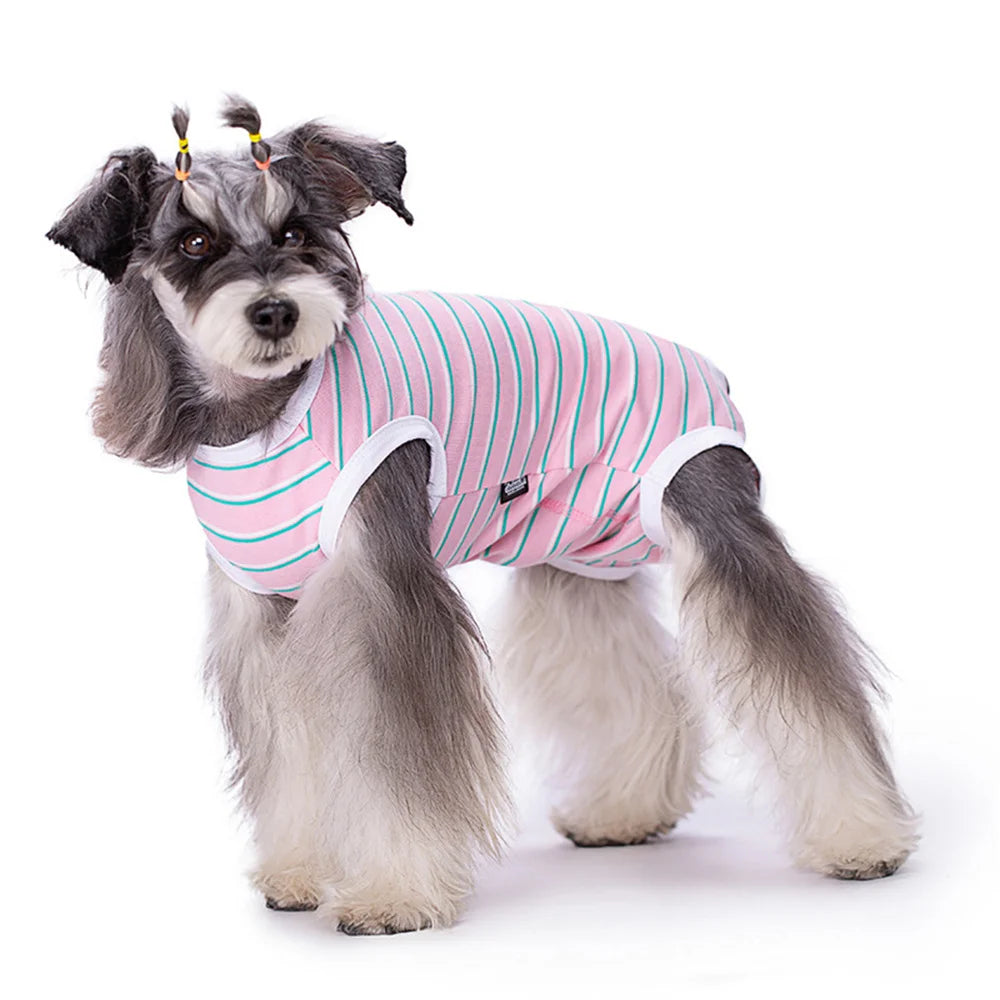 Dog Recovery Suit – Post-Surgery Anti-Licking Bodysuit with Sanitary Panel for Male & Female Dogs