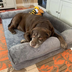 Orthopedic Pet Mattress with Bolster Sides & Washable Cover by Snagg A Pet Bed
