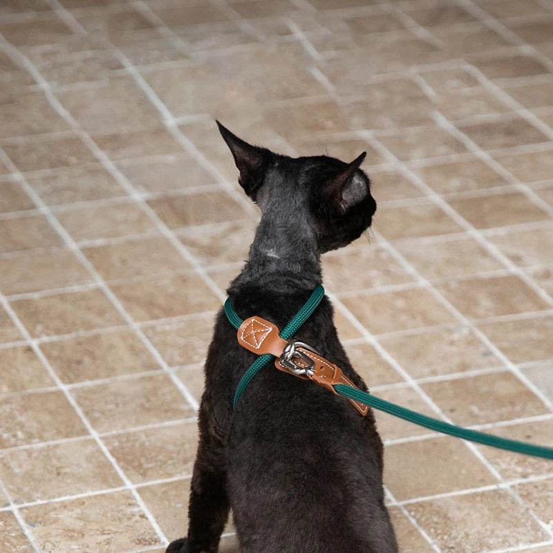 Adjustable Cat Chest Harness & Leash Set - SnaggIt