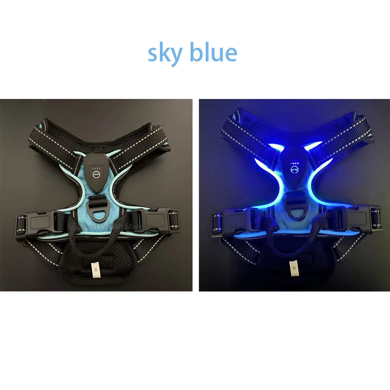 LED Luminous Dog Harness by Snagg A Harness
