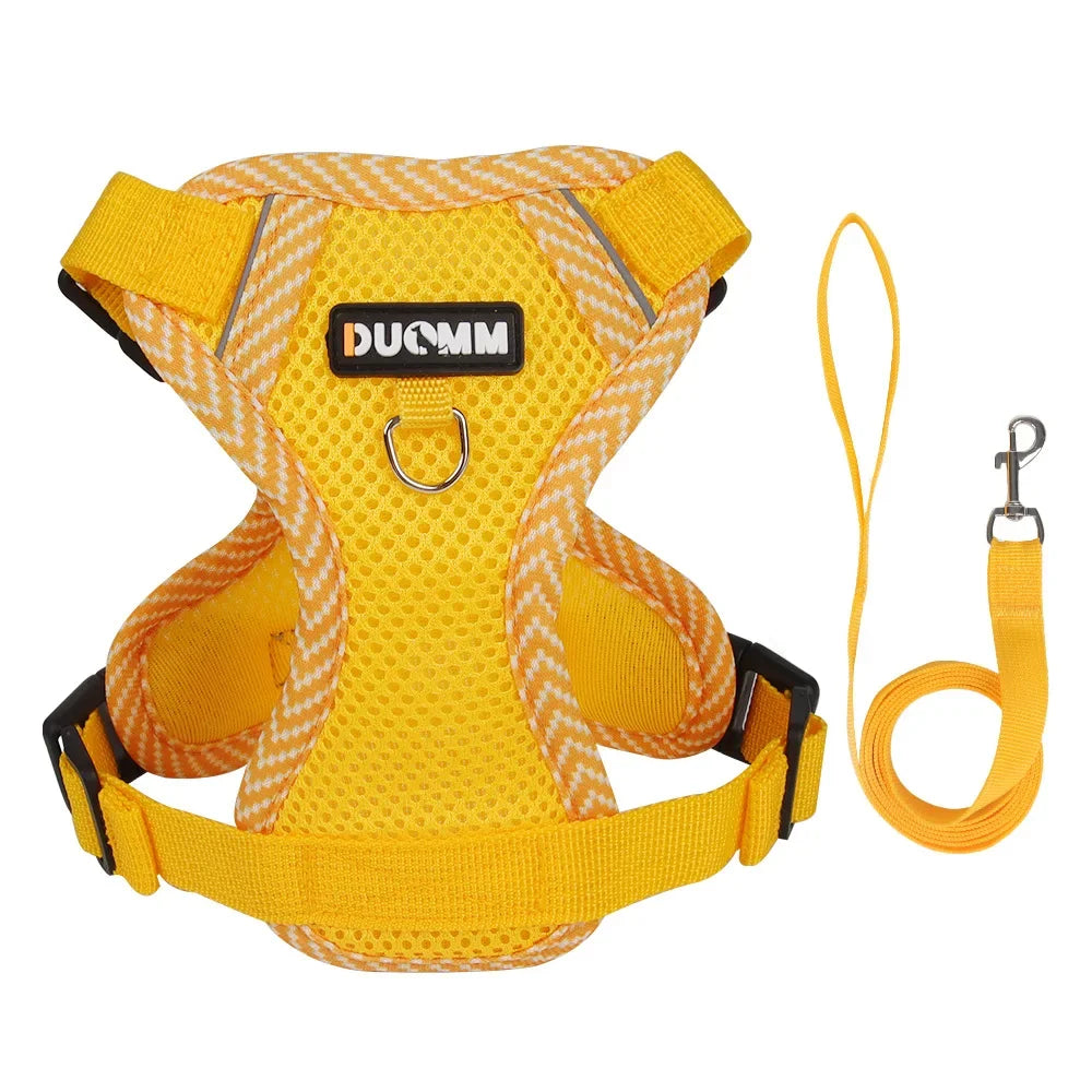 Reflective Cat & Dog Harness & Leash Set by Snagg A Harness