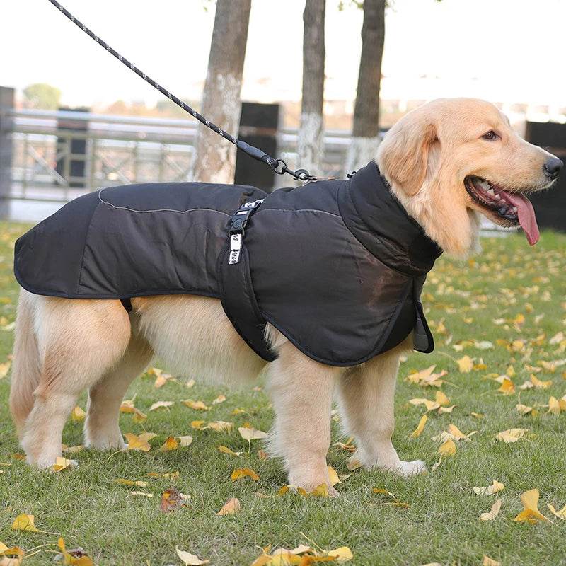 Autumn & Winter Warm Dog Jacket - SnaggIt