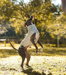Warm Fleece Sleeveless Dog Vest