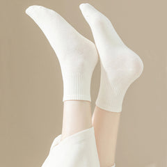 12 Pair Soft Cotton Ankle Colourful Socks Everyday Breathable Set