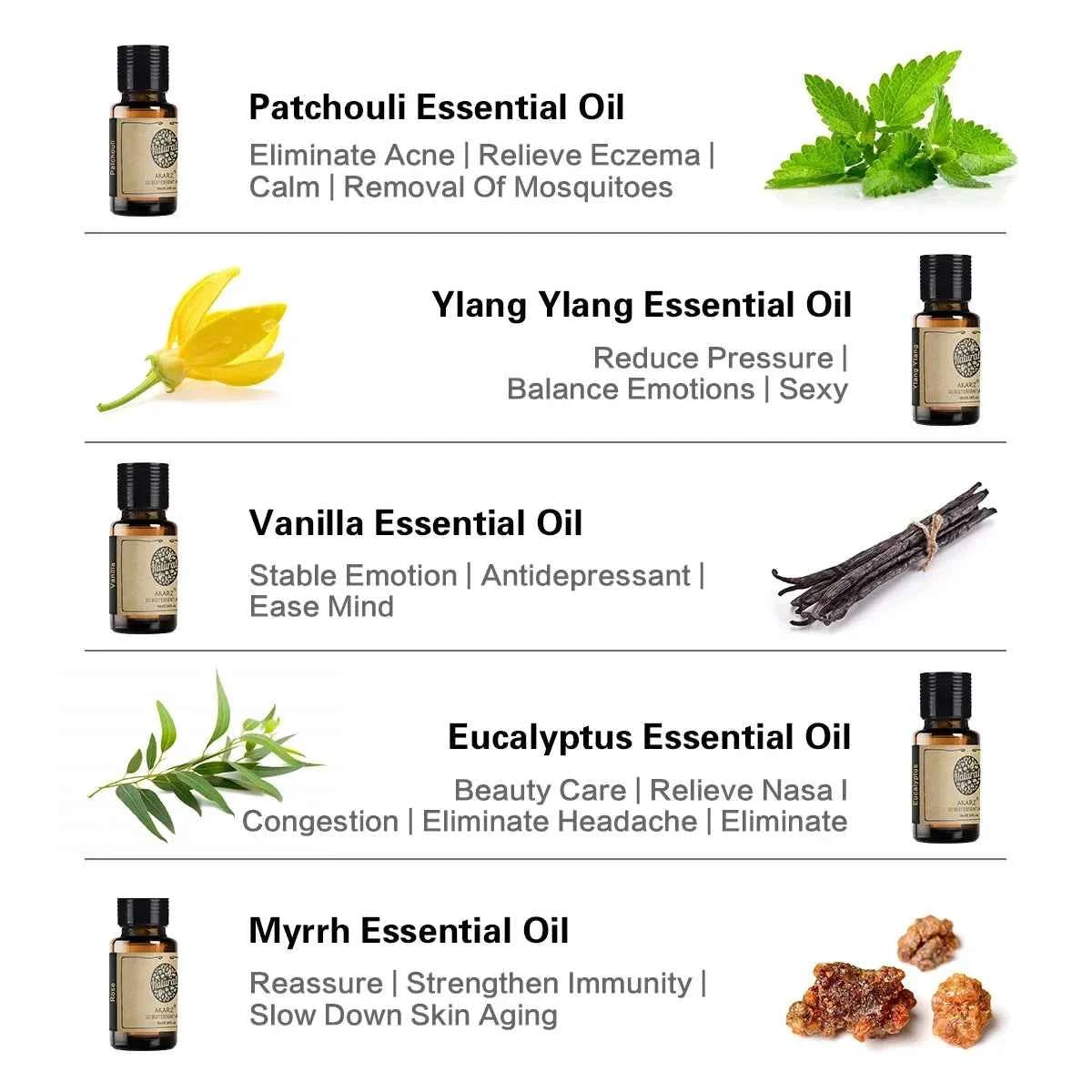 10 Bottle Essential Oil Master Collection – 100% Pure 10ml Botanical Set for Diffusion, Spa & Artisanal Crafting