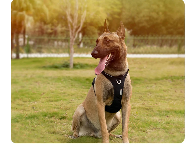 Tactical Black Dog Harness by Snagg A Harness