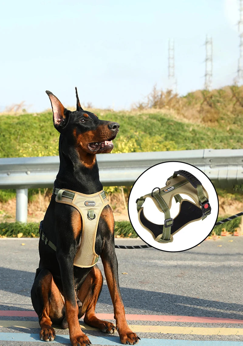 Adjustable Reflective Dog Harness by Snagg A Harness