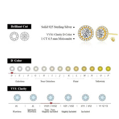 1.0CT Moissanite Stud Earrings - SnaggIt