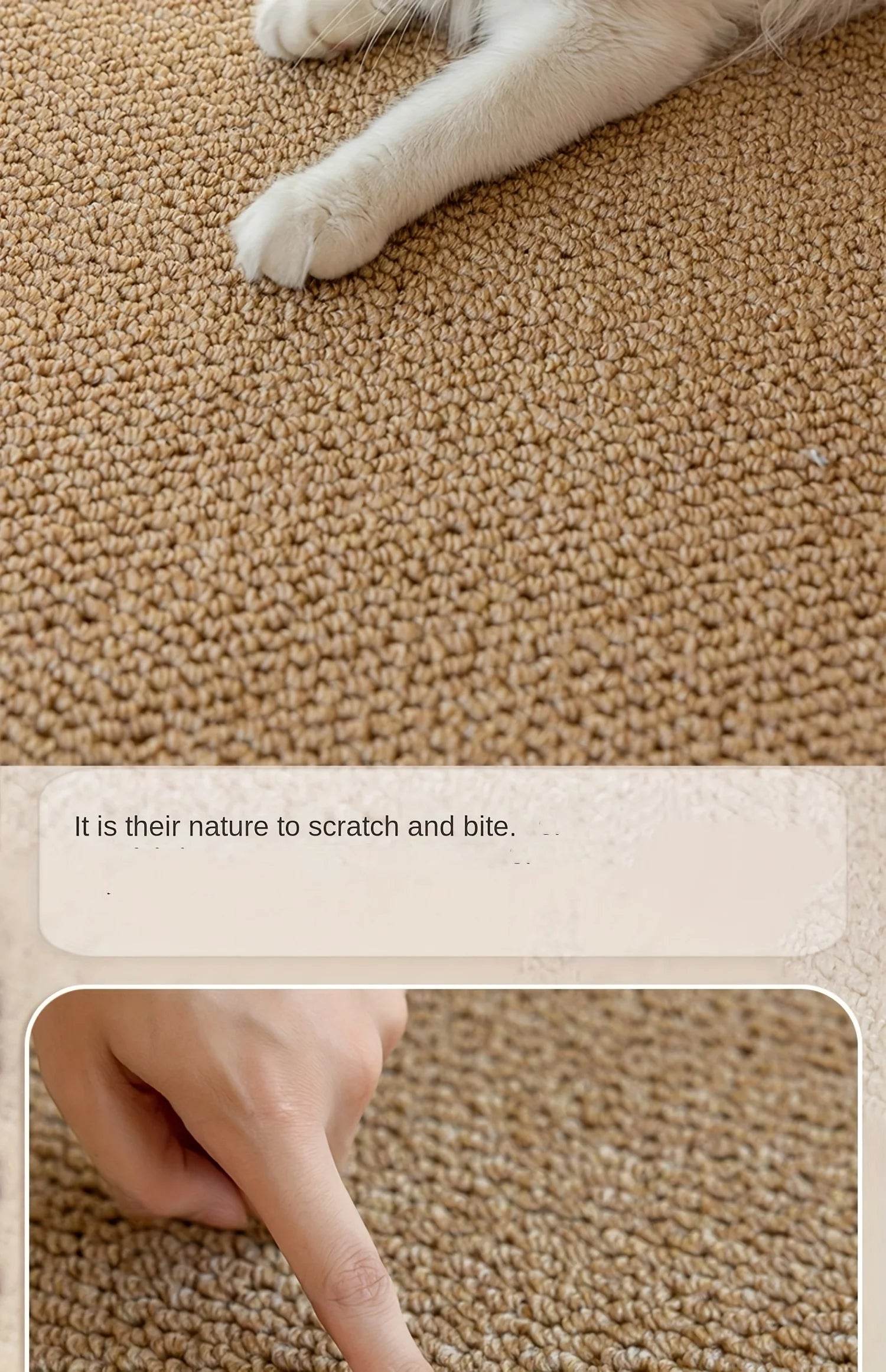 Cat Scratching Pad - SnaggIt