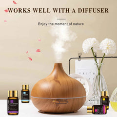 35 Bottle Master Essential Oil Library – 100% Pure Botanical Collection for Diffusion, Artisanal Crafting & Wellness