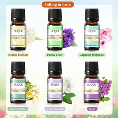 6 Piece Fragrance Oil Collection – Premium 10ml Aroma Diffusion Set for Home & Crafting