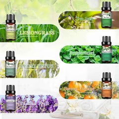 6 Piece Essential Oil Essentials – 100% Pure 10ml Botanical Set for Diffusion, Wellness & Household DIY