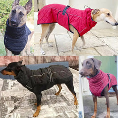 Waterproof Outdoor Dog Jacket by Snagg A Jacket