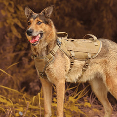 Military Tactical Dog Harness – Escape-Proof, Reflective & Durable by Snagg A Harness