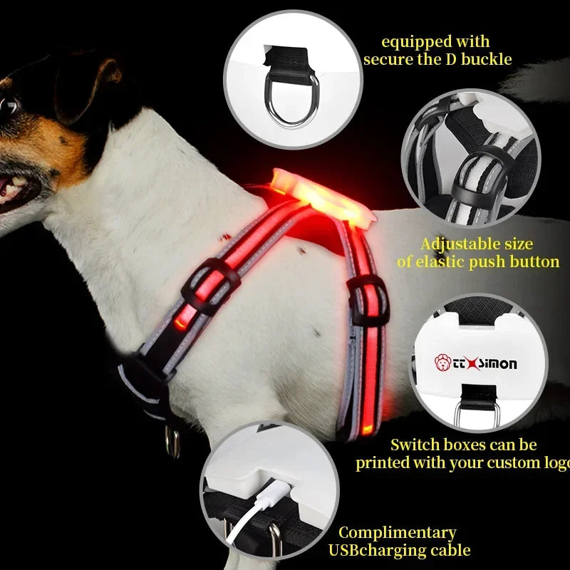 Adjustable LED Dog Harness – Rechargeable & Waterproof by Snagg A Harness