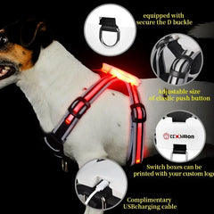 Adjustable LED Dog Harness – Rechargeable & Waterproof by Snagg A Harness