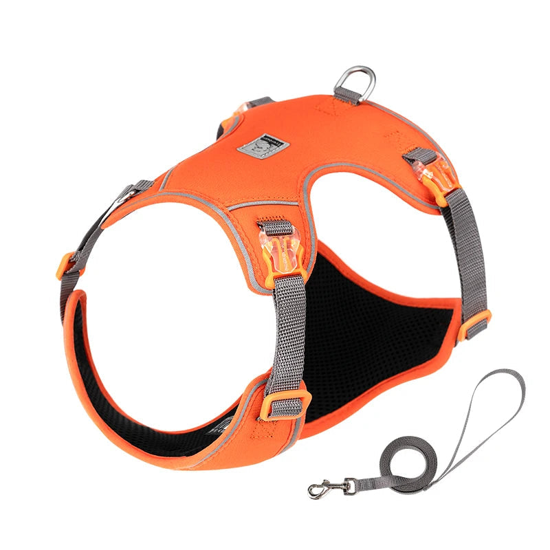Ultra-Lightweight Breathable Harness & Leash Set by Snagg A Harness