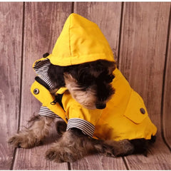 Outdoor Waterproof Dog Jacket