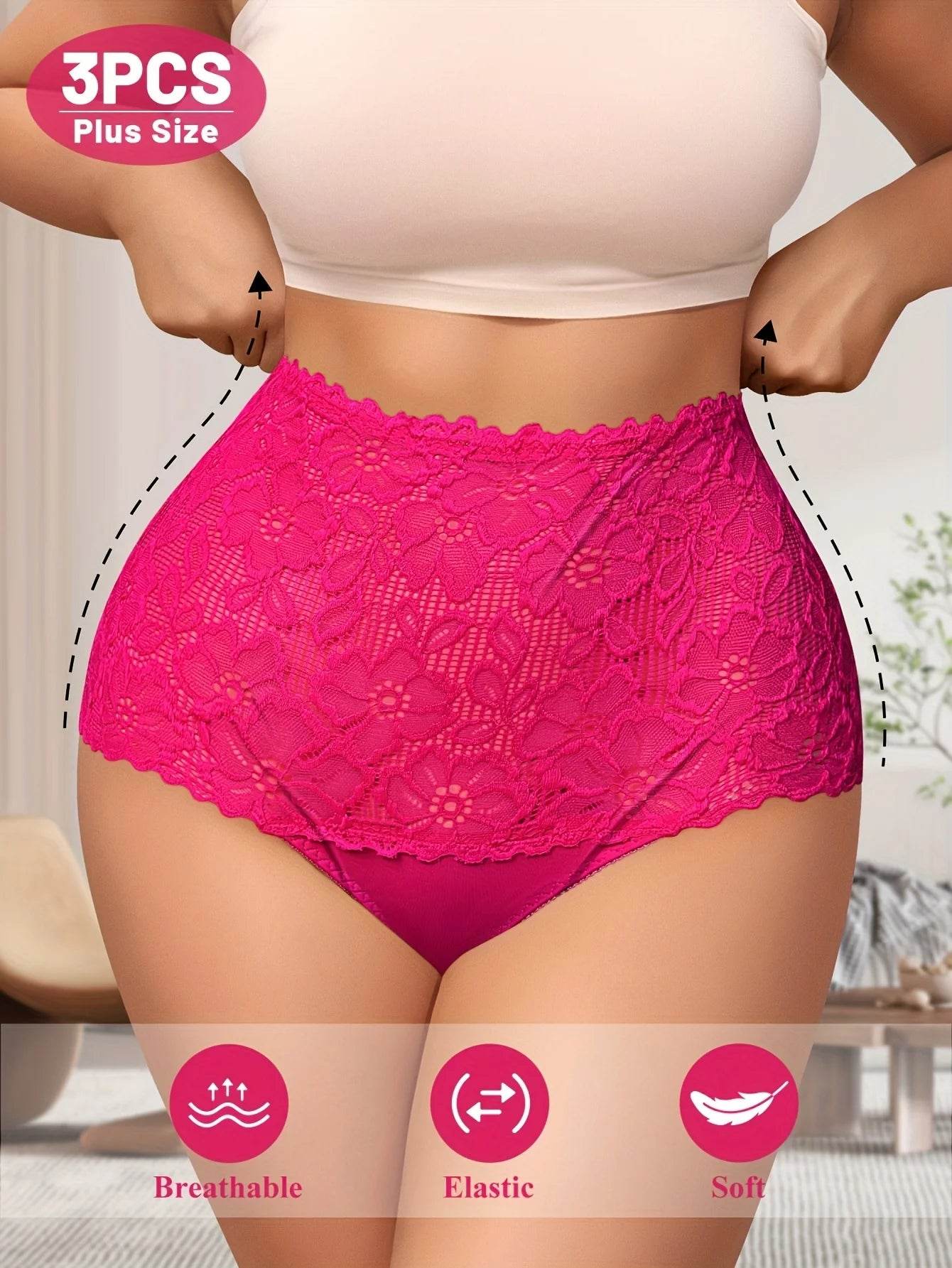 3-Pack Plus Size High-Waist Panties - SnaggIt