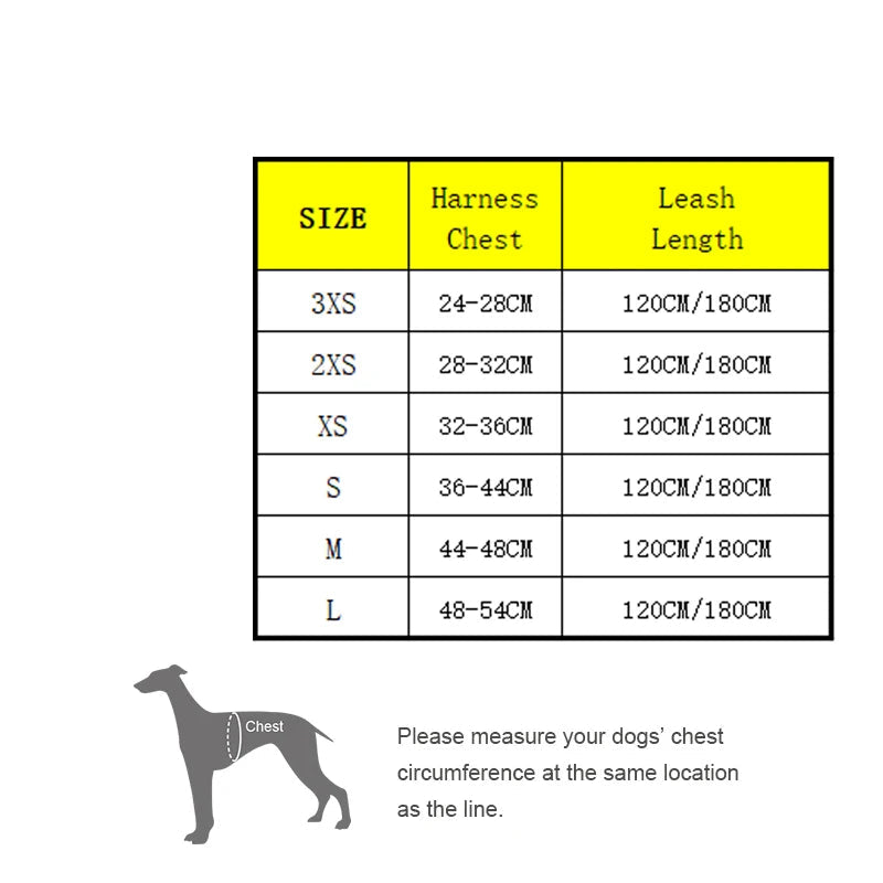 Floral Mesh Pet Harness & Leash Set by Snagg A Harness