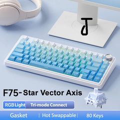 75% Wireless Mechanical Keyboard for a Premium Gaming Experience by Snagg A Keyboard