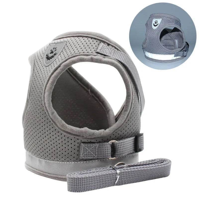 Breathable Escape-Proof Cat Harness & Leash Set - SnaggIt