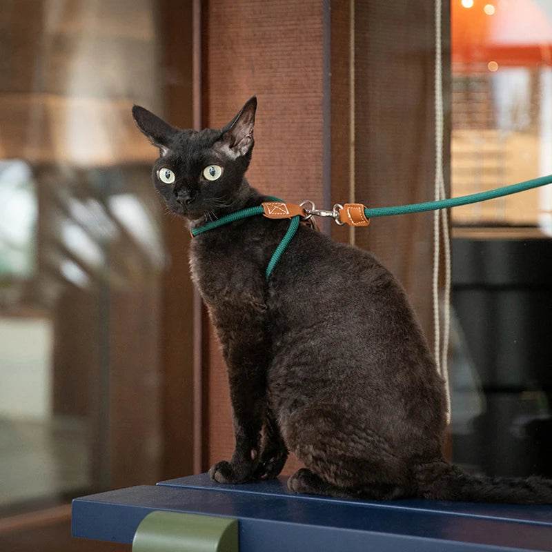 Adjustable Cat Chest Harness & Leash Set - SnaggIt