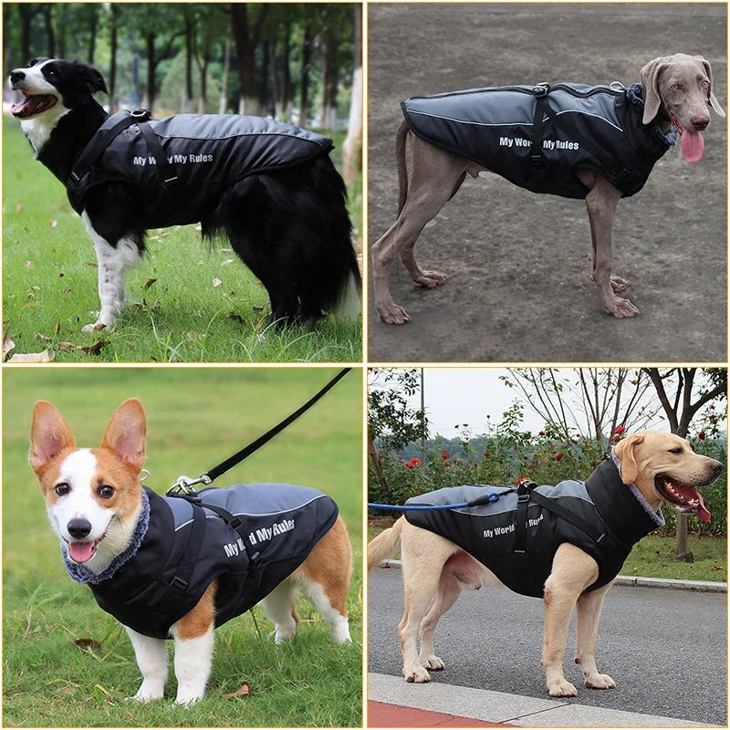 Waterproof Winter Dog Coat by Snagg A Coat