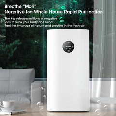 Flagship Edition HEPA Air Purifier | Negative Ion Sterilization & VOC Removal