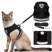 Breathable Escape-Proof Cat Harness & Leash Set - SnaggIt