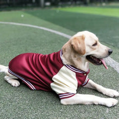 Warm Big Dog Baseball Jacket