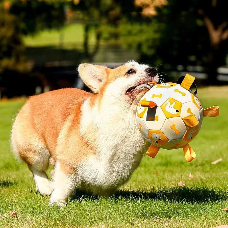 Interactive Dog Football Toy with Grab Tabs by Snagg A Toy