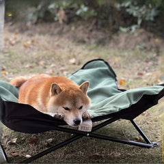 Outdoor Camping Foldable Pet Bed by Snagg A Pet Lounge