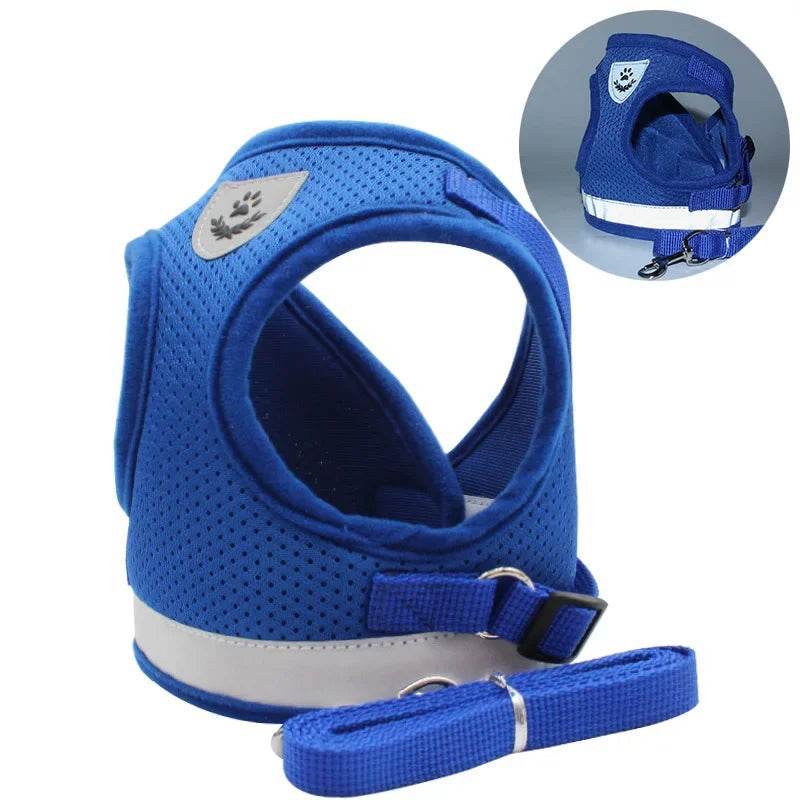 Breathable Escape-Proof Cat Harness & Leash Set - SnaggIt