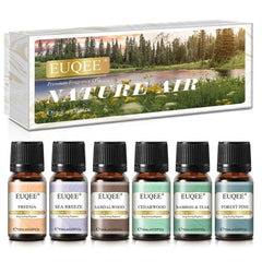6 Piece Fragrance Oil Collection – 10ml Pure Natural Aroma Diffusion Set for Wellness & DIY Crafting