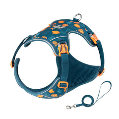 Ultra-Lightweight Breathable Harness & Leash Set by Snagg A Harness