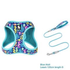 Floral Mesh Pet Harness & Leash Set by Snagg A Harness