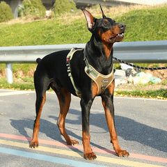 Adjustable Reflective Dog Harness by Snagg A Harness